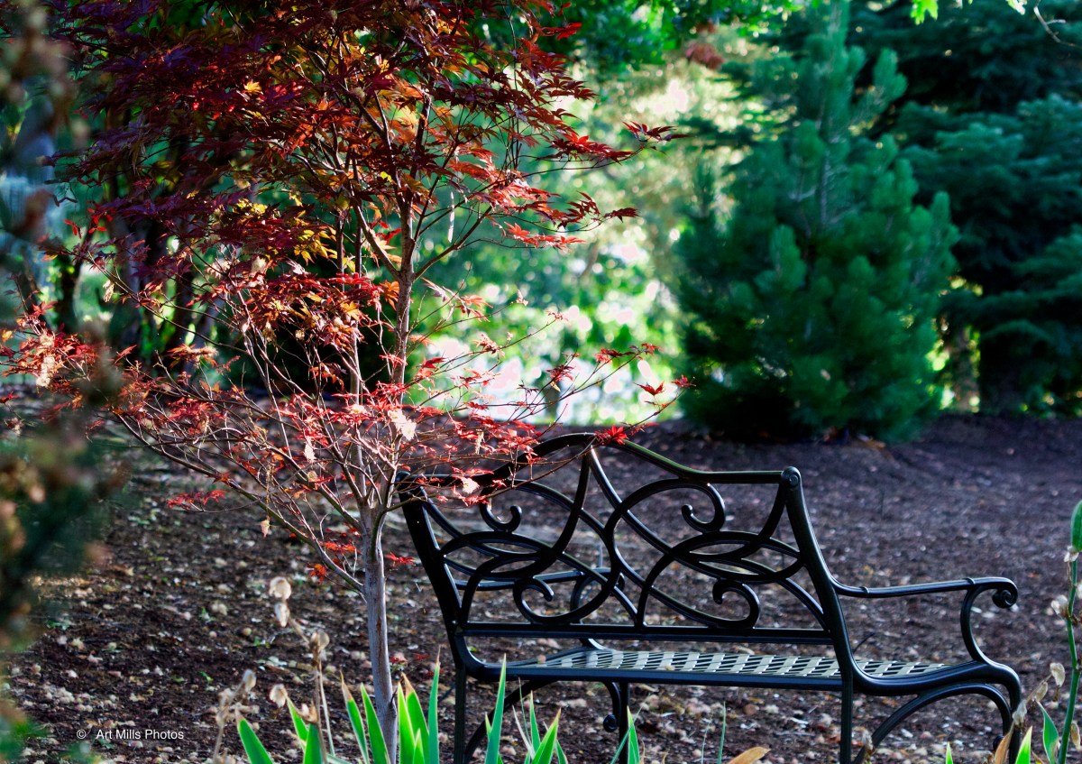 Early Morning Interlude