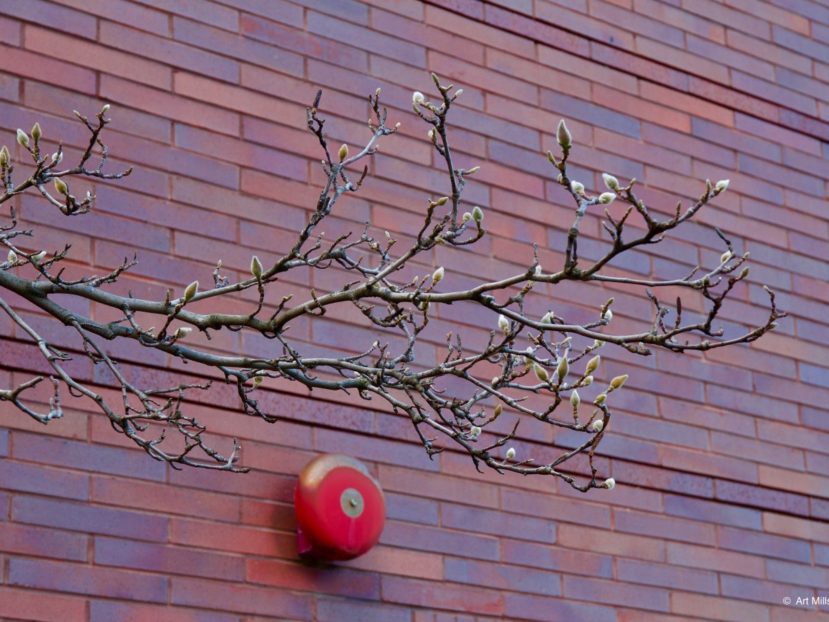 Out for a&nbsp;Stroll