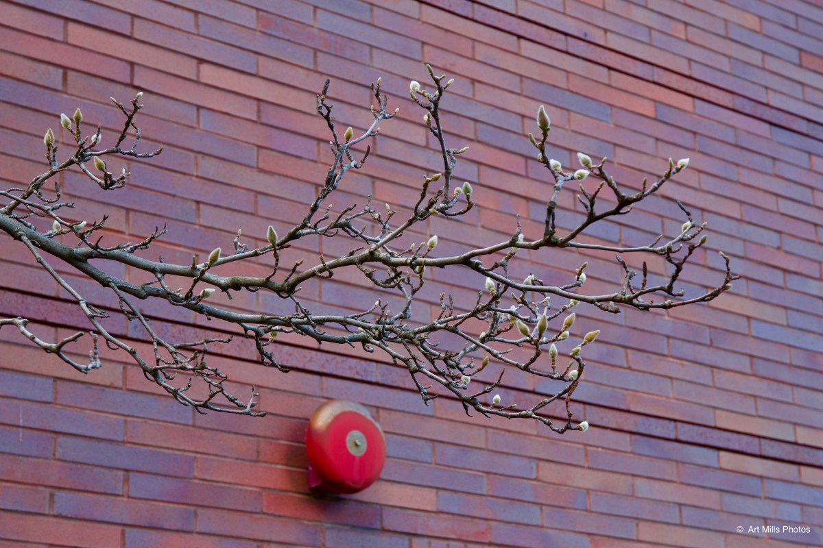 Out for a&nbsp;Stroll