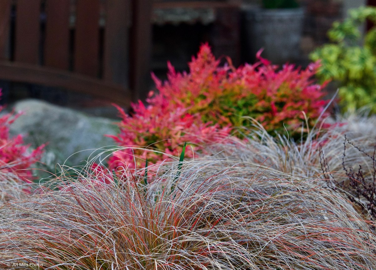 Walking thru the&nbsp;Gloom