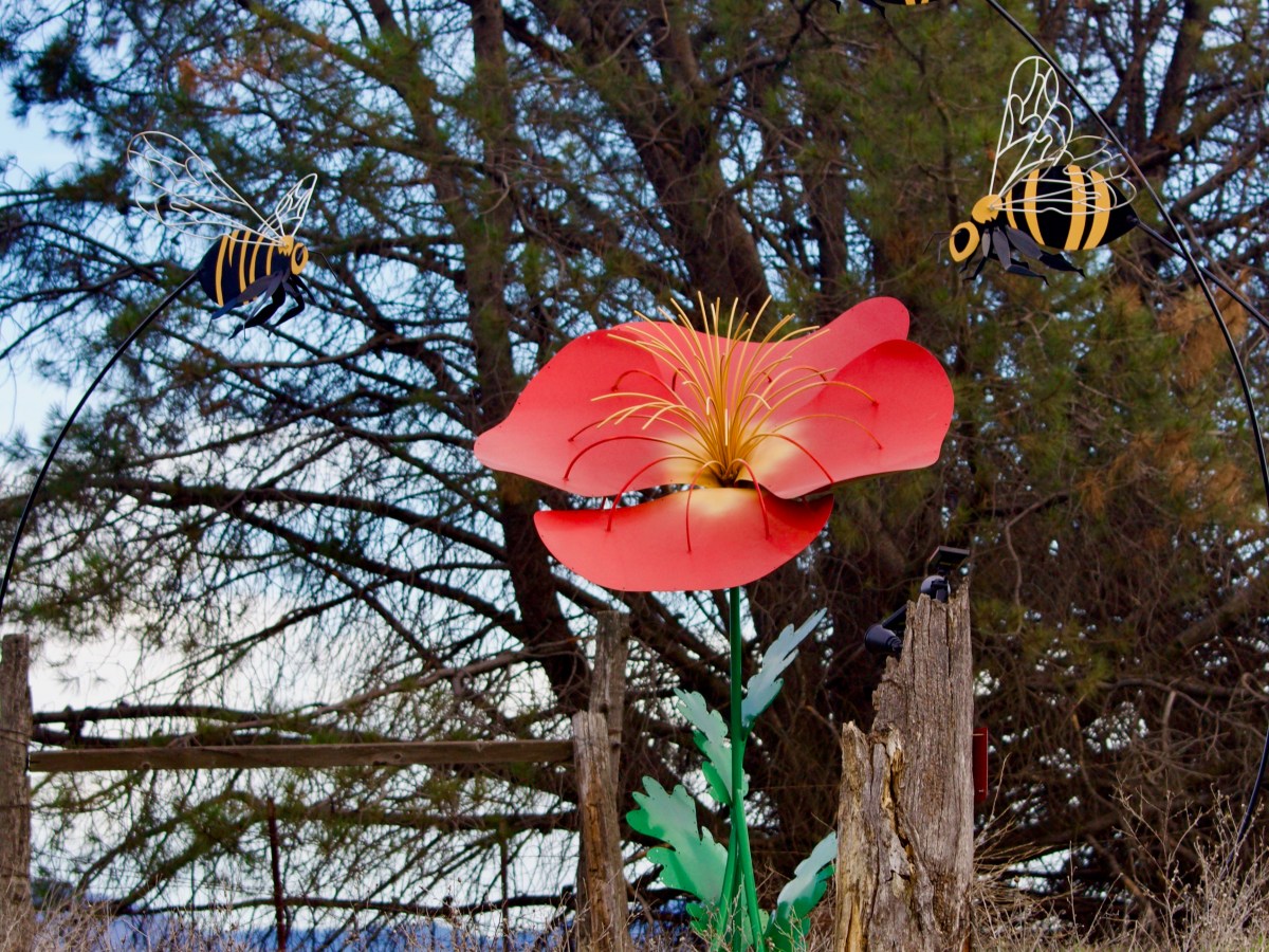 Walking Again… In our new&nbsp;neighborhood