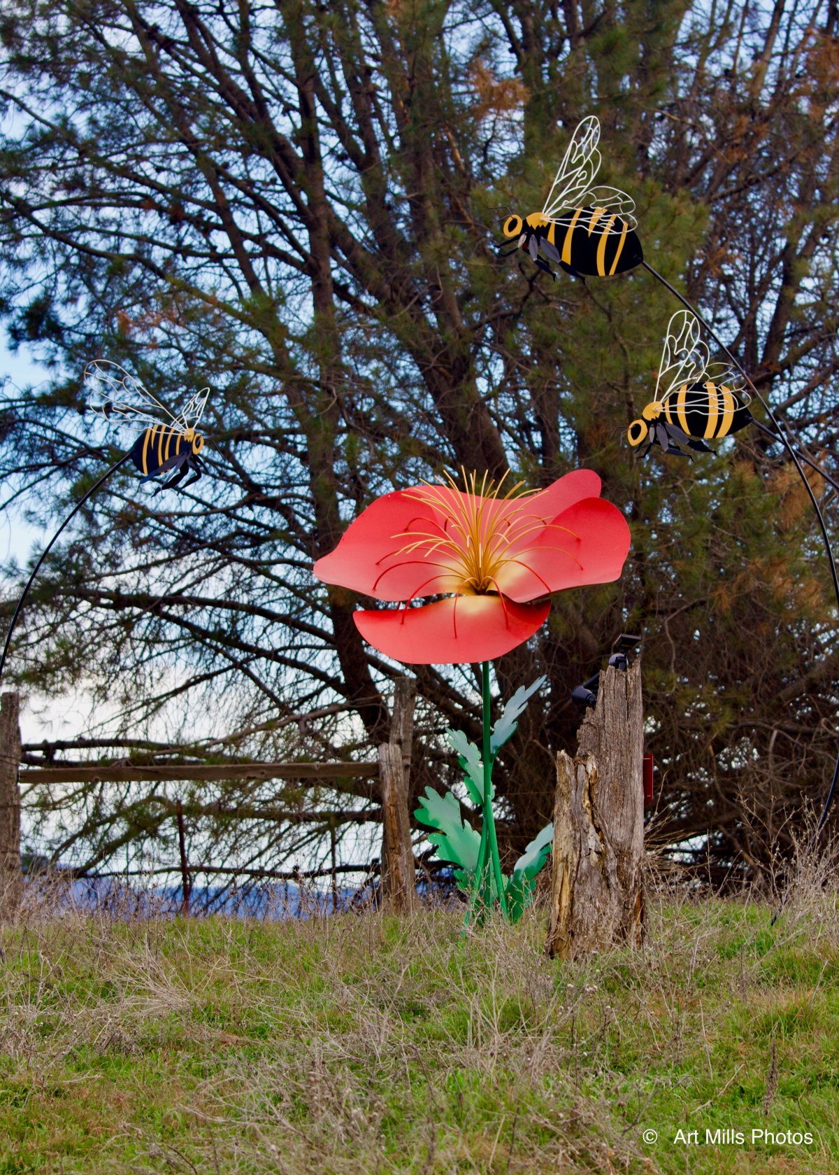 Walking Again… In our new&nbsp;neighborhood