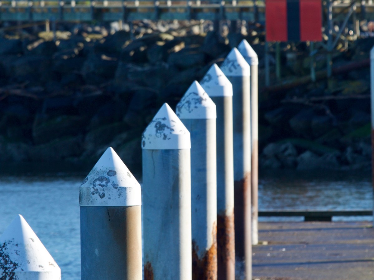 SLOWING DOWN in&nbsp;BANDON