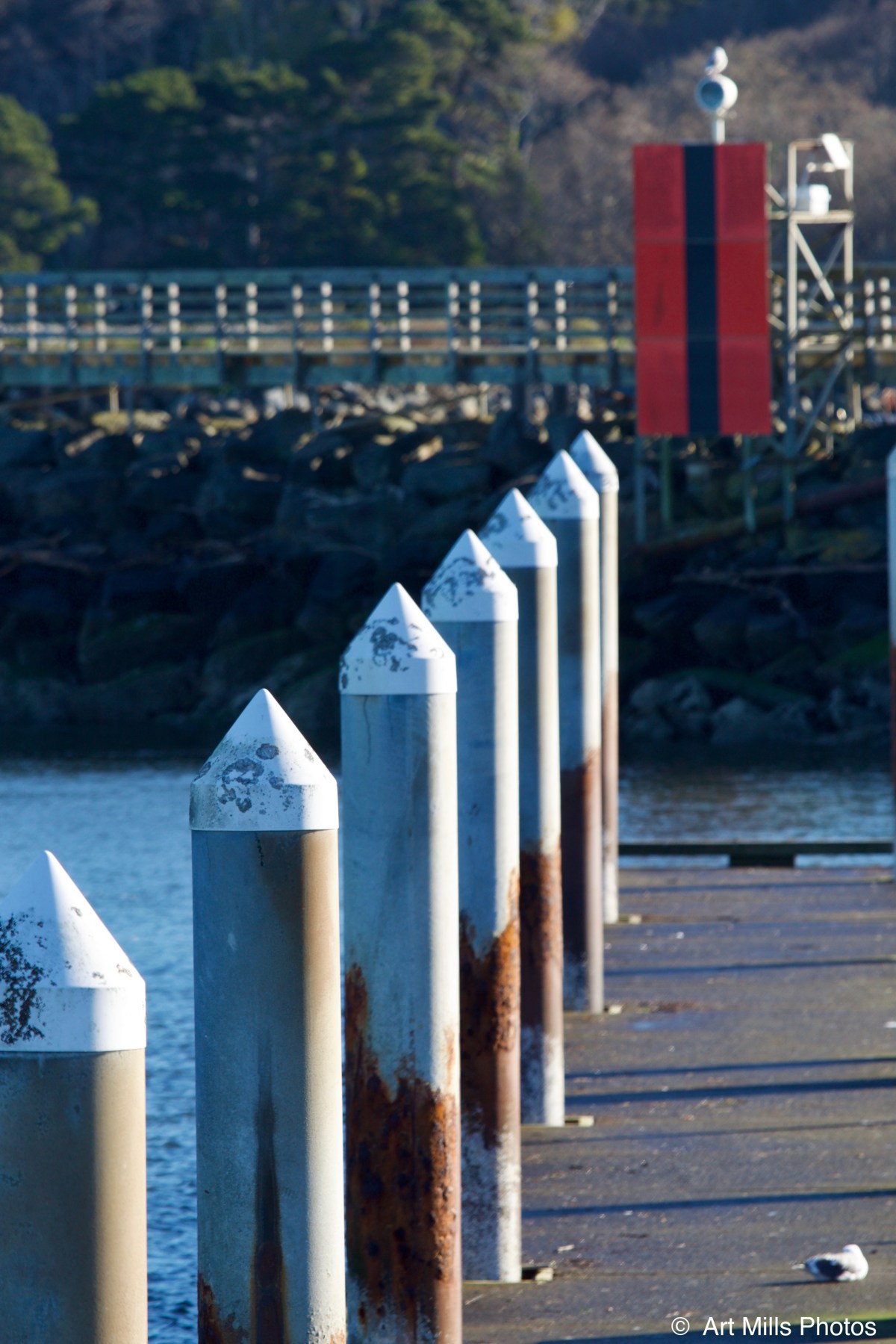 SLOWING DOWN in&nbsp;BANDON