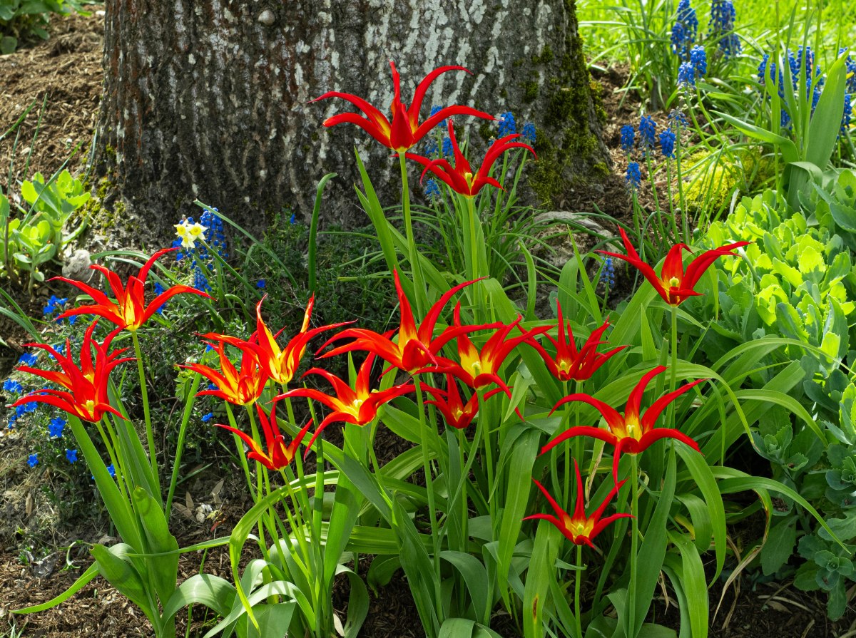 BATCHES of COLOR!